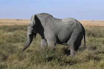 DSC_3855 (Large).JPG